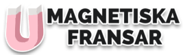 MagnetiskaFransar